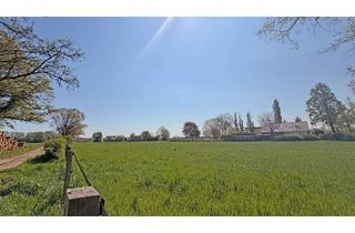 Gewerbeimmobilie kaufen in 46499 Hamminkeln, Agrar-Duo in Hamminkeln: ca. 15.895 m² zusammenhängende landwirtschaftliche Fläche
