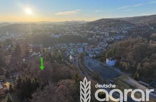 Gewerbeimmobilie kaufen in 01855 Sebnitz, Kleine Waldfläche (ca. 1.060 m²) in der Sächsischen Schweiz in Sebnitz