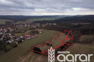 Gewerbeimmobilie kaufen in 35279 Neustadt, Weidefläche mit natürlichen Grenzen und Bachlauf (ca. 2 ha) zw. Marburg und Kassel in Mengsberg