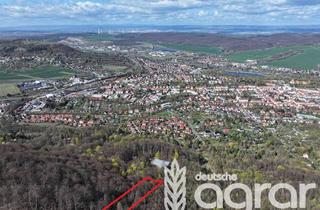 Gewerbeimmobilie kaufen in 99706 Sondershausen, Stattlicher Buchenmischwald (ca. 0,4 ha) am südl. Stadtrand von Sonderhausen