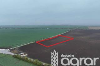Gewerbeimmobilie kaufen in 39221 Welsleben, Kleine ertragreiche Ackerfläche mit 96 BP für Jedermann (ca. 0,8 ha) in der Magdeburger Börde