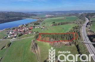 Gewerbeimmobilie kaufen in 98553 Schleusingen, Nadel- und Laubmischwald (ca. 1 ha) an der Talsperre Ratscher in Schleusingen - zw. Suhl und Coburg