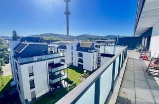 Penthouse mieten in 77933 Lahr, Über den Dächern - 3,5 Zimmer NB Penthouse Wohnung mit Dachterrasse