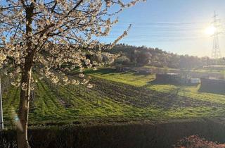 Wohnung kaufen in 71384 Weinstadt, Ihr neuer Lieblingsplatz - Sonne, Ruhe und Weitblick ins Grüne inklusive