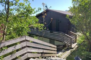 Einfamilienhaus kaufen in 69509 Mörlenbach, Viel Platz für den Alltag im Einfamilienhaus in Mörlenbach