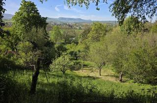 Grundstück zu kaufen in 73230 Kirchheim, Ihr eigenes Naturparadies: Großzügiges Freizeitgrundstück mit Obstbäumen & Gartenidylle