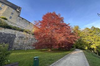 Grundstück zu kaufen in 96450 Cortendorf, COBURG-FESTUNGSBERG, Freizeitgrundstück mit massivem Gartenhaus