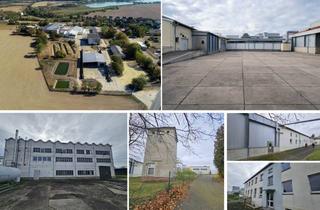 Gewerbeimmobilie kaufen in 04668 Grimma, GS mit Bestand aus Hallen, Garagen, Büros, Sozialräumen u.v.m. auf ca. 3,3 ha GS, ca. 89 SP