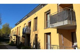 Wohnung kaufen in 97228 Rottendorf, 2-Zimmer-Wohnung mit der Möglichkeit für betreutes Wohnen in Rottendorf