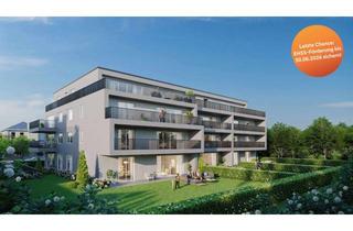 Penthouse kaufen in 61239 Ober-Mörlen, Neubau: Erdgeschosswohnung mit Terrasse und eigenem Gartenanteil