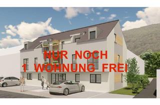 Wohnung kaufen in 54293 Trier, Trier - BAUBEGINN ist ERFOLGT! - 2ZKB-Neubau-Eigentumswohnung, rollstuhlgerecht, barrierefreier Zugang, Aufzug, ca. 61,25 m2 Terrasse, Bezug ca. März 2027