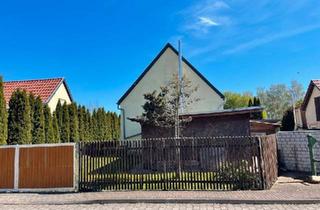 Doppelhaushälfte kaufen in 06542 Allstedt, Allstedt - Haus mit Garten, Pool, Sauna und Partyraum