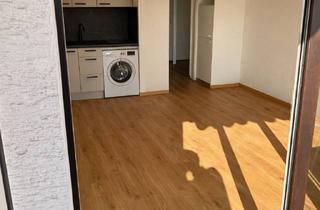 Wohnung mieten in 65195 Wiesbaden, Lichtdurchflutetes modernisiertes Apartment mit Südbalkon im Rheingauviertel