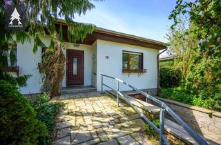 Haus kaufen in Drosselweg 18, 06449 Aschersleben, Ein bisschen verwunschen. Ein bisschen Bienensummen. Genau richtig.