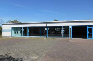 Gewerbeimmobilie mieten in 65239 Hochheim, Gewerbehalle - Verkaufsfläche - Autohandel