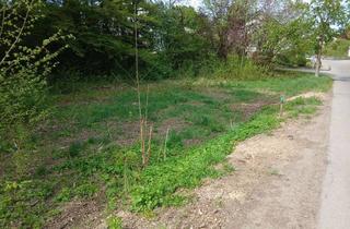 Grundstück zu kaufen in 88515 Langenenslingen, Bauplatz für Tiny House und Gartenland