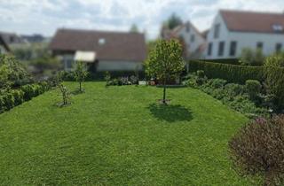 Grundstück zu kaufen in 85276 Pfaffenhofen, Zentrumsnahes Baugrundstück in Pfaffenhofen zu verkaufen