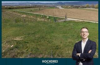 Grundstück zu kaufen in 55435 Gau-Algesheim, 429 m² Baugrundstück in traumhafter Feldrandlage mit Weitblick zum Kauf in Gau-Algesheim