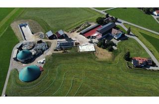Immobilie kaufen in 87634 Obergünzburg, Landwirtschaftlicher Betrieb mit Biogas und Fernwärmenetz im Allgäu