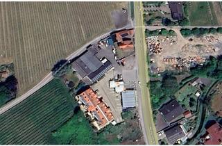 Gewerbeimmobilie kaufen in Weinstraße Nord 61, 67271 Neuleiningen, Großes Wohn‑ und Gewerbeensemble – attraktive Kapitalanlage mit vielseitigem Nutzungspotenzial