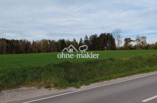 Gewerbeimmobilie kaufen in Grammelkamer Wald, 84036 Grammelkam, 2 Felder in guter Lage- Grammelkamer Wald
