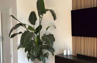Wohnung mieten in Heppstraße 68, 72760 Reutlingen, Zuhause mit 2 Zimmern in Reutlingen