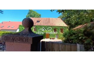 Büro zu mieten in 90451 Nürnberg, Großes 38qm Büro/Atelier zu vermieten - Nutzung v. Küche, WC, Besprechungsraum