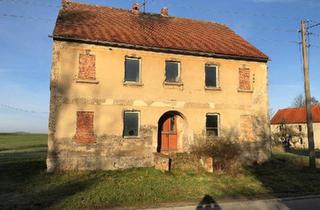 Einfamilienhaus kaufen in 02894 Reichenbach, Reichenbach/Oberlausitz - Schnäppchenhaus (ca. 2 km von Reichenbach O.L)