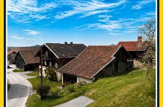 Bauernhaus kaufen in 94541 Grattersdorf, Grattersdorf - Bauernhof mit 1325m² Grundstück + Backhaus + Scheunen + PV