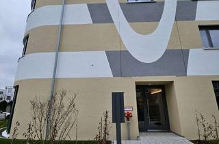 Wohnung mieten in Anna-Reich-Straße 25, 71069 Sindelfingen, Lebendiges Wohnen: 2,5-Zimmer-Wohnung in Sindelfingen