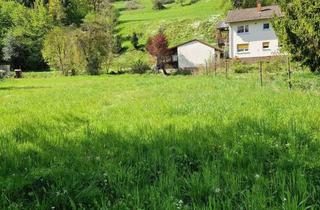 Grundstück zu kaufen in 69517 Gorxheimertal, ** Ideales Investmentprojekt mit Entwicklungspotential ** Traumhaftes Baugrundstück