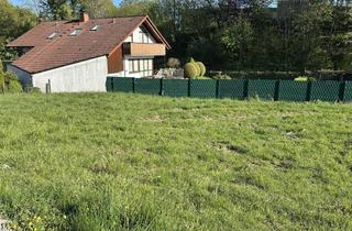 Grundstück zu kaufen in 33014 Bad Driburg, Attraktive Baugrundstücke in begehrter Wohnlage – ideal für Mehrfamilienhäuser, Einfamilienhäu