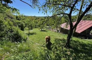 Grundstück zu kaufen in 70597 Sonnenberg, Gartengrundstück mit Gartenhaus zwischen Sonnenberg und Waldfriedhof