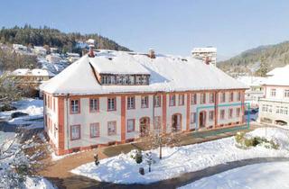 Praxen mieten in Am Kurgarten, 79837 St. Blasien, Repräsentative Gewerbe- & Praxisflächen im Kurpark St. Blasien
