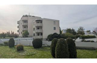 Wohnung mieten in 73061 Ebersbach, 1,5 Zimmern in Ebersbach Sulpach: Küche, Balkon, TG-Stellplatz