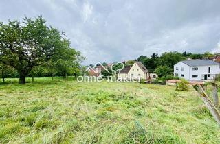 Grundstück zu kaufen in 91077 Neunkirchen, Unverbaubarer Panoramablick! 805 m² Grundstück in Toplage (provisionsfrei)