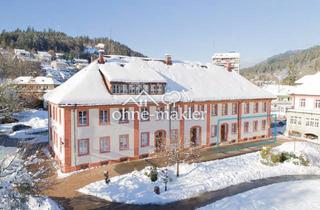 Büro zu mieten in 79837 St. Blasien, Repräsentative Gewerbe- & Praxisflächen im Kurpark St. Blasien
