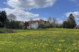Einfamilienhaus kaufen in 86946 Vilgertshofen, Einfamilienhaus mit Einliegerwohnung zwischen Ammersee und Lech – Wohnen im Einklang mit der Natur