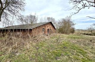 Grundstück zu kaufen in 17159 Dargun, Alter Schafstall und DHH warten auf Ausbau