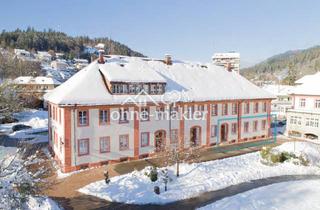 Büro zu mieten in Am Kurgarten, 79837 St. Blasien, Repräsentative Gewerbe- & Praxisflächen im Kurpark St. Blasien