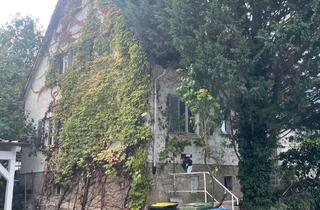 Doppelhaushälfte kaufen in 75417 Mühlacker, Mühlacker - Doppelhaushälfte mit großem Garten zentral in Mühlacker