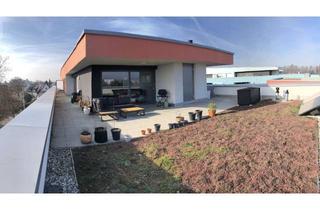 Penthouse mieten in An Der Oberen Halde 45, 73527 Schwäbisch Gmünd, Voll- oder teimöblierte Penthouse-Wohnung in Schwäbisch Gmünd: 2,5 Zimmer mit gehobener Ausstattung