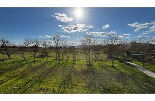 Wohnung mieten in Eichengasse 34, 67149 Meckenheim, Helle 3-Zimmer-Wohnung mit Balkon & traumhaftem Haardt-Blick – frisch renoviert!