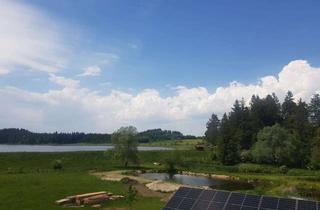 Wohnung mieten in 87672 Roßhaupten, Exclusive Mietwohnung bei Roßhaupten am Forggensee