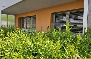 Wohnung mieten in 73312 Geislingen, Erstbezug nach Renovierung: 2-Zimmer EG Wohnung mit großer Terrasse, EBK und Stellplatz