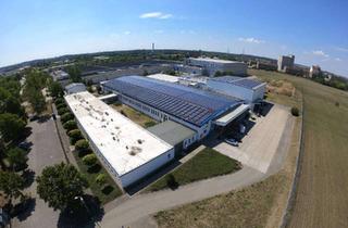 Gewerbeimmobilie kaufen in Magdeburger Chaussee 47, 06118 Halle, Gewerbeanwesen light Industrial - voll vermietet - 6.950 qm Mietflächen