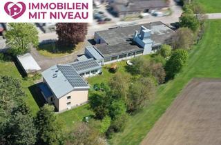 Gewerbeimmobilie kaufen in 89415 Lauingen, Handwerker u. Selbstständige aufgepasst! Wohnhaus mit XXL-Lager/Produktionshalle, Büro u. Großgarage
