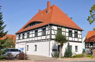 Wohnung mieten in Windmühlenstraße 61, 04683 Belgershain, Ansprechende helle 3-Raum-Wohnung in Köhra
