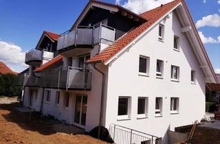 Wohnung mieten in Salzelmener Str. 5/1, 74906 Bad Rappenau, Sonnige Wohlfühloase über den Dächern