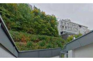 Wohnung mieten in Brunnenstraße, 72074 Tübingen, Zuhause mit zwei Zimmern in Tübingen